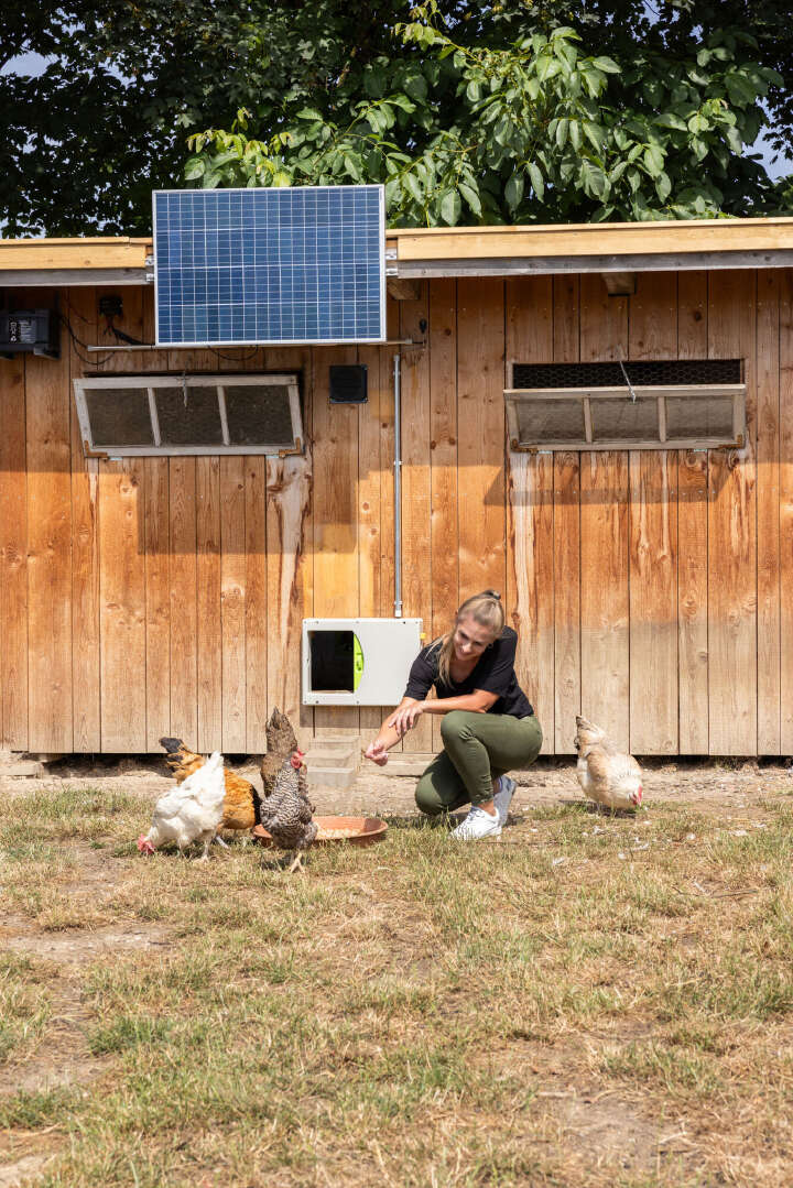 KERBL Solar-Set mit Laderegler